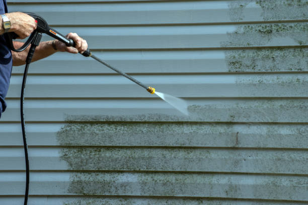 Best House Pressure Washing  in Eudora, KS